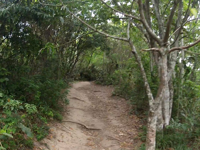 Arquivo:TrilhaUrca09.jpg