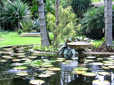 Arquivo:224 841-horto-das-palmeiras-tratada.jpg