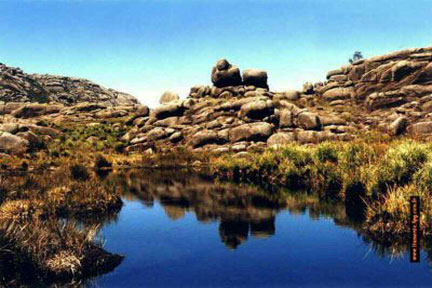 Arquivo:Primeira foto.jpg