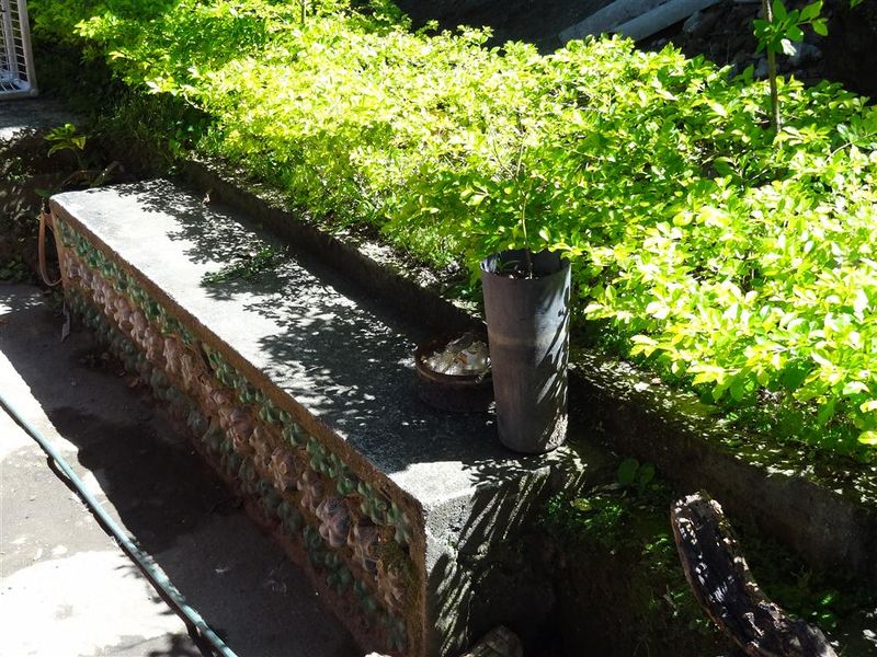 Arquivo:Vidigal - Sitie - Parque Ecologico 5.jpg