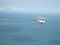 Miniatura para Arquivo:RIO Hang Gliding1.jpg